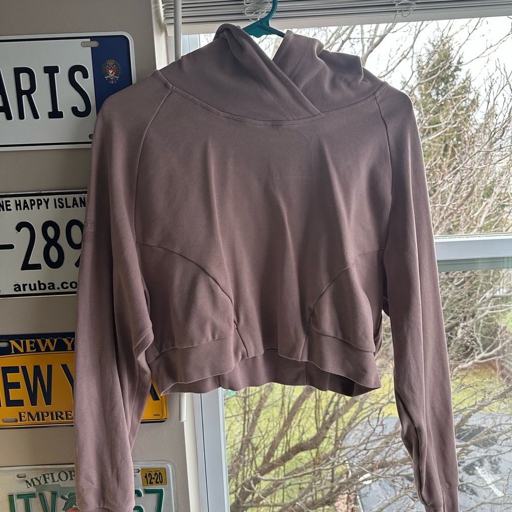 Alphalete cropped hoodie